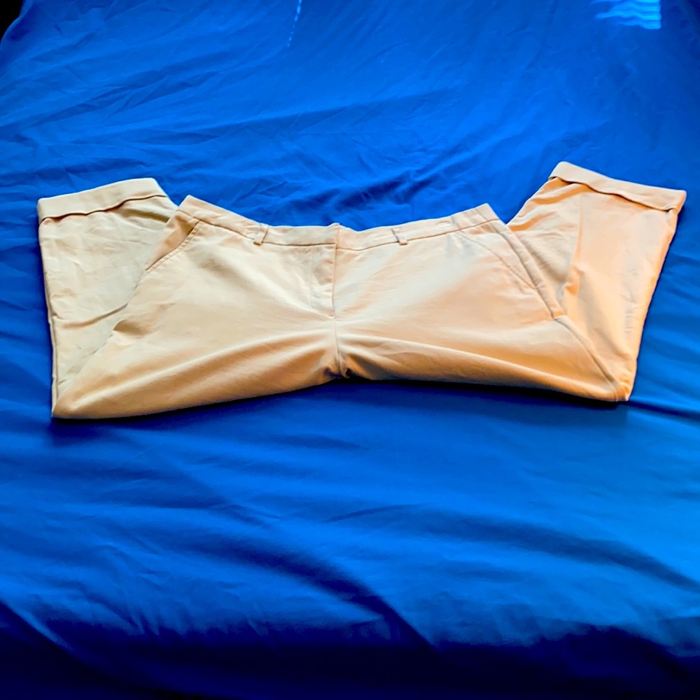 Tan size 18 chinos